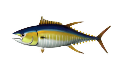 3D Rendering Tuna Fish on White