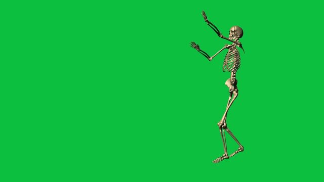 3d animation of skeleton exercise karate - separate on green screen
