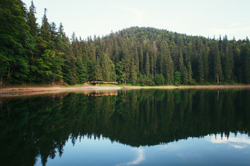 Obraz premium Lake Synevir in the Carpathians. Ukraine