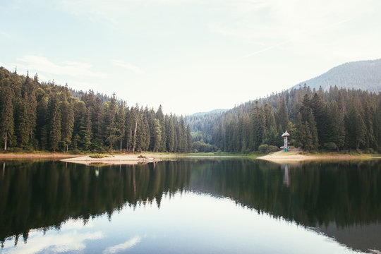 Lake Synevir in the Carpathians. Ukraine