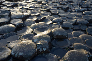 Selciato del gigante in Irlanda del Nord