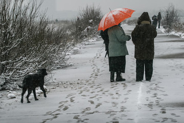Bucharest, Romania, January 3, 2010: People walk on the edge of a lake in Bucharest during a cold winter day.