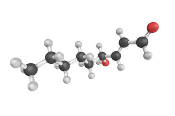 3d structure of 4-Hydroxynonenal, an unsaturated hydroxyalkenal