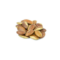 Obraz premium Roasted kayu seeds on white background (Irvingia malayana benn)
