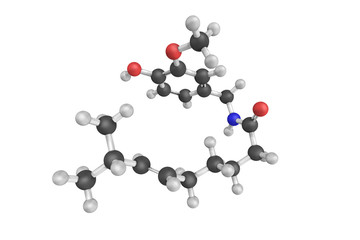 3d structure of Capsaicin, an active component of chili peppers.