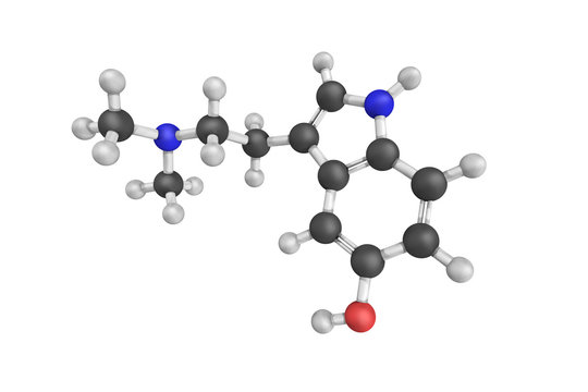 3d structure of Bufotenine, a tryptamine related to the neurotra