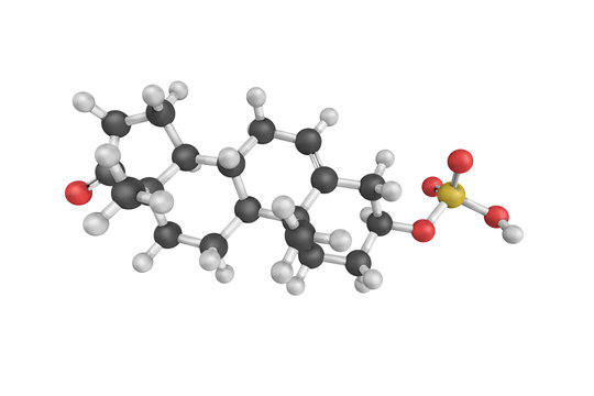 3d Structure Of Dehydroepiandrosterone Sulfate (DHEA-S), Also Kn