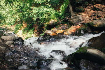 Naklejka na ściany i meble Mountain river in the Carpathian mountains, the stones in the river