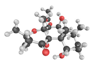 3d structure of Forskolin (coleonol), a labdane diterpene that i