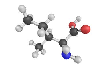3d structure of Isoleucine, an alpha-amino acid that is used in