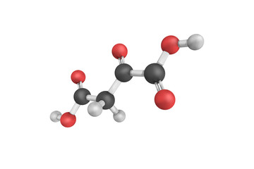 3d structure of Oxaloacetic acid (also known as oxalacetic acid)