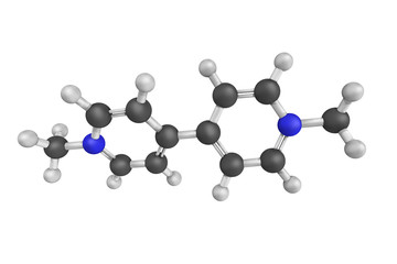 3d structure of Paraquat, an organic compound classified as a vi
