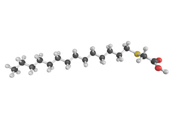 3d structure of Tetradecylthioacetic acid (TTA) is a synthetic f