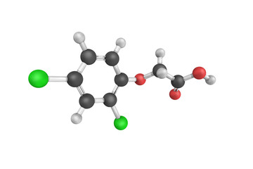 3d structure of 2,4-Dichlorophenoxyacetic acid (usually called 2