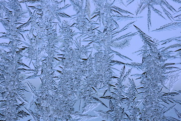 winter pattern of ice crystals on glass