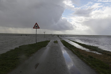 blick auf die hamburger hallig bei stürmischen wetter