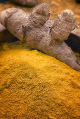 Obraz premium Turmeric (Curcuma longa), fresh root and powder