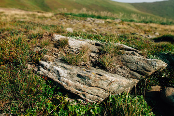 Stones in the mountains Carpathians. Beautiful mountain view