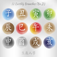 Set of symbols from chinese hieroglyphs. Translation of 12 zodiac animals branch, feng shui signs hieroglyph: Rat, Ox, Tiger, Rabbit, Dragon, Snake, Horse, Goat, Monkey, Rooster, Dog, Pig