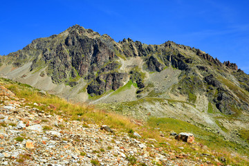 Fototapeta premium Summer mountain landscape near Davos, Canton Grison, Switzerland