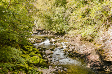 Noiraigue, Areuseschlucht, Areuse, Fluss, Val de Travers, Jura, Wald, Herbst, Wanderweg, Waldweg, Herbstwanderung, Herbstfarben, Schweiz