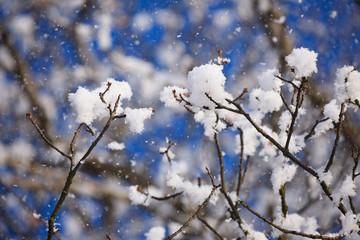 Winter in Czech Republic