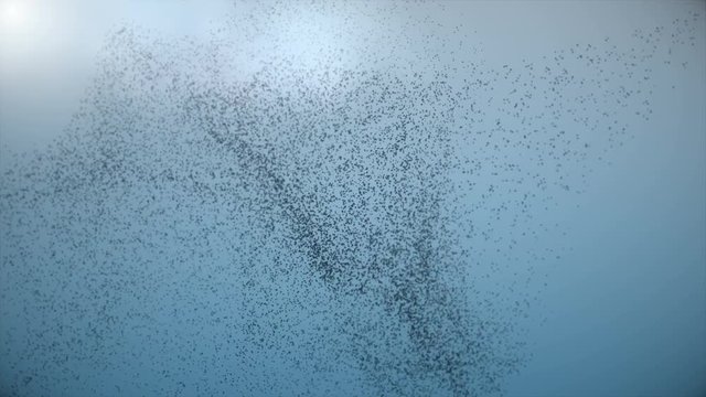 Swarm of Birds in the Sky