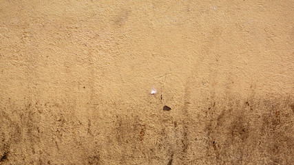 Neukoelln backgrounds - dirty beige wall