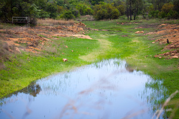 Dry South African Dam 