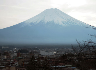 Fototapeta premium Mt. Fuji