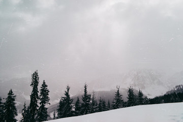 mountains