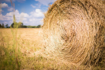 haystack in a field in clear weather