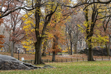 View of Central Park in December in New York