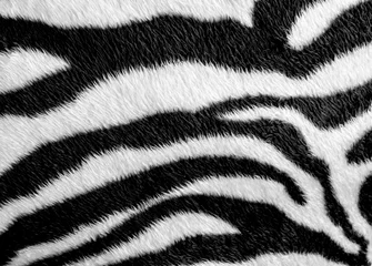 Tuinposter Zebrahuid patroon kunstleer stof © Satakorn