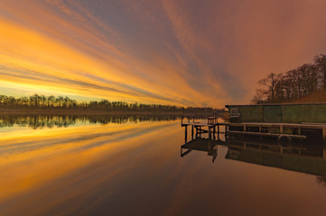 green tree standing alone in a green spring field,against a blue sky
