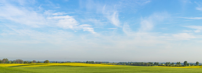 panorama spring green field