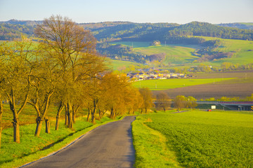 Country road through the green hills