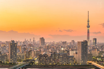 Fototapeta na wymiar Tokyo city skyline at sunset