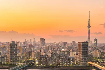 Foto op Canvas Tokyo city skyline at sunset © f11photo