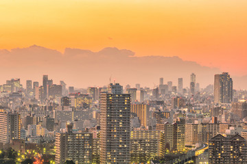 Fototapeta premium Tokyo city skyline at sunset