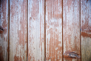 Obraz premium Wood background view