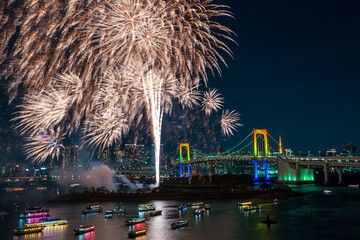 Fireworks and Tokyo skyline