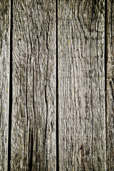 Wood background view