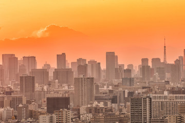 Tokyo city skyline at sunset