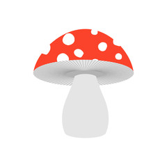 Amanita isolated. Poisonous Mushroom on white background.