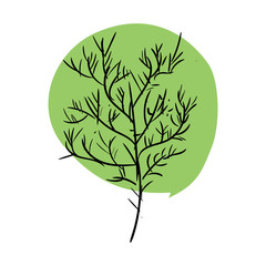 Tree doodle isolated. Green leaves and stem on white background