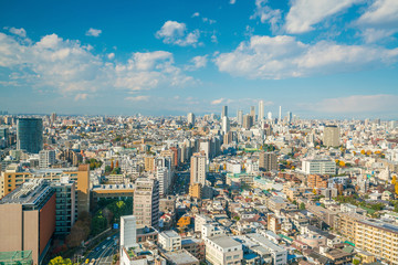 Fototapeta na wymiar Downtown Tokyo skyline