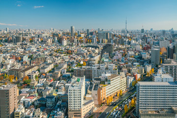 Fototapeta na wymiar Downtown Tokyo skyline