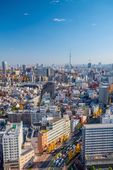 Naklejka premium Downtown Tokyo skyline