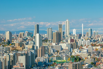 Naklejka premium Downtown Tokyo skyline